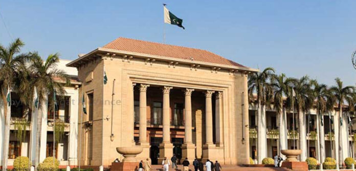 جنوبی پنجاب کو نظر انداز کیا گیا تو الگ صوبہ لیں گے، علی حیدر گیلانی کی پنجاب اسمبلی میں دوٹوک وارننگ